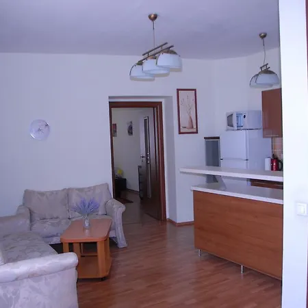 La Vali In Piata Sfatului Апартаменти